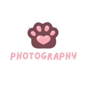 Photography